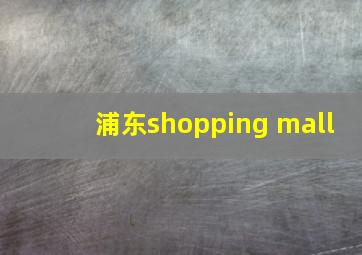 浦东shopping mall